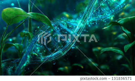 自然與科學的融合 | 植物與DNA交織的生物技術影像 自然與科學的融合 | 植物與DNA交織的生物技術影像 131836571