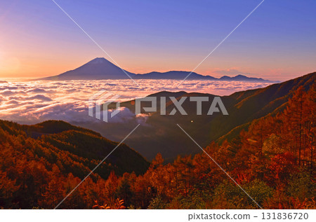富士山的雲海與秋葉 富士山的雲海與秋葉 131836720