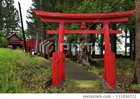 Tsukiyomi Shrine, Hirosaki City, Aomori Prefecture, Torii Oniko Tsukiyomi Shrine, Hirosaki City, Aomori Prefecture, Torii Oniko 131836721