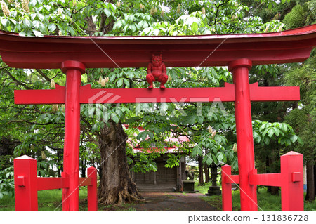 青森郡北津輕郡板柳町八坂神社的鳥居鬼子 青森郡北津輕郡板柳町八坂神社的鳥居鬼子 131836728