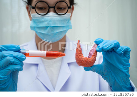 Doctor holding thyroid gland model and blood sample test tube in laboratory. Doctor holding thyroid gland model and blood sample test tube in laboratory. 131836756