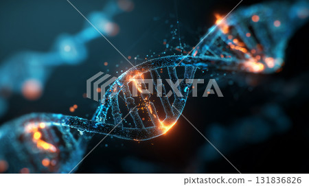 生物技術圖像 | 閃亮的 DNA 131836826