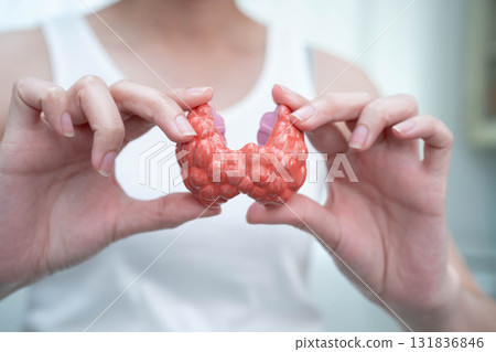 Hyperthyroidism, Overactive Thyroid, Thyroid Lymphoma, Asian woman with thyroid gland human anatomy model. 131836846