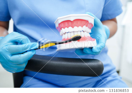 Doctor clean teeth denture with toothbrush for teach patient and dentist studying about dentistry. 131836853