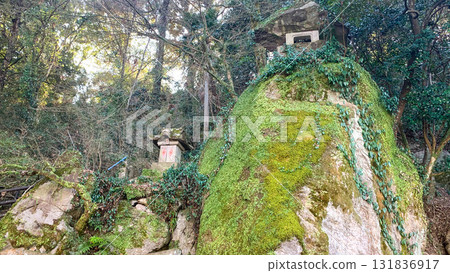 Kameyama Park in Hita City, Oita Prefecture Kameyama Park in Hita City, Oita Prefecture 131836917