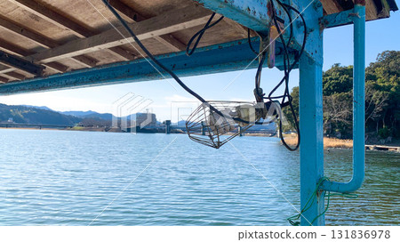 日田市龜山公園週邊風景 131836978