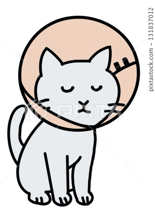 Elizabeth colored cat 131837012