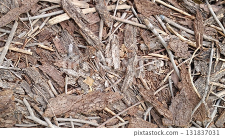 Grunge dark wooden texture background 131837031