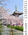 Spring 2024 at Honpoji Temple, Kyoto 131837211