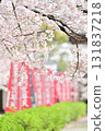 Spring 2024 at Honpoji Temple, Kyoto 131837218