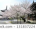 Spring 2024 at Honpoji Temple, Kyoto 131837224
