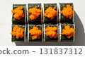 Flying Fish Roe Sushi Rolls with Seaweed and Rice 131837312