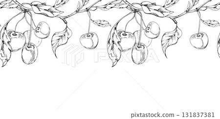 Sweet sour line cherry with plant leaves, garden berry in group clusters on branches hand drawn vector ink. Seamless banner garland illustration, for restaurant, cafe menu, wedding, farmers market 131837381