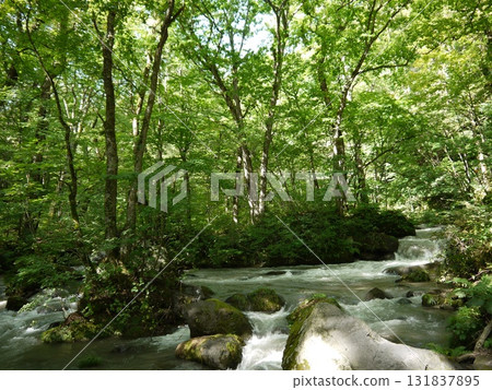 Oirase Gorge surrounded by fresh greenery Oirase Gorge surrounded by fresh greenery 131837895