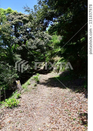 七尾城050號健行路線 七尾城050號健行路線 131837978