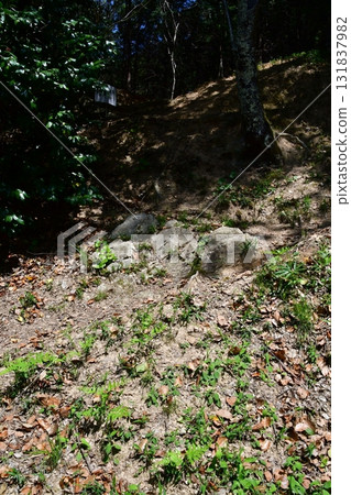 七尾城 004 石牆、登山道 131837982