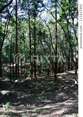 Nanao Castle 001 Earthworks, hiking trails 131837992