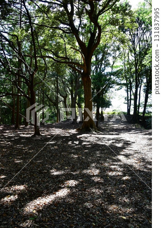 七尾城017 第二階段 131837995