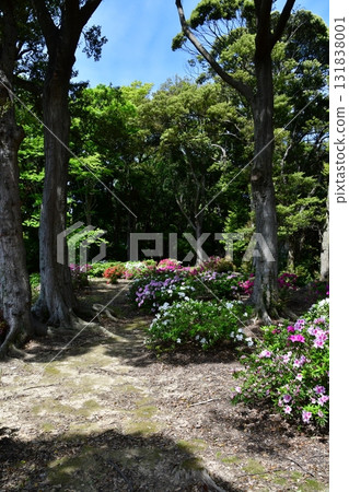 七尾城 023 本丸 七尾城 023 本丸 131838001