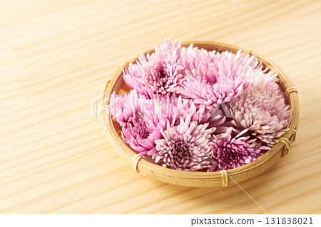Image of purple edible chrysanthemum Image of purple edible chrysanthemum 131838021