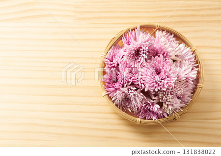 紫色食用菊花的圖片 紫色食用菊花的圖片 131838022