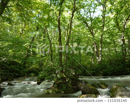 Oirase Gorge surrounded by fresh greenery Oirase Gorge surrounded by fresh greenery 131838140