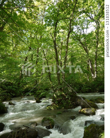 The landscape of the Oirase Stream 131838512