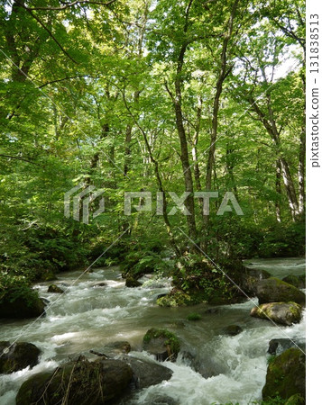 The landscape of the Oirase Stream 131838513