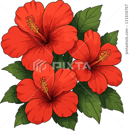 Three red hibiscus illustration Three red hibiscus illustration 131838767