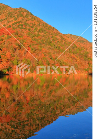 Autumn leaves at Lake Yunoko, Oku-Nikko, Tochigi Prefecture 131839254