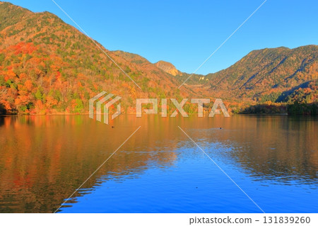 Autumn leaves at Lake Yunoko, Oku-Nikko, Tochigi Prefecture 131839260