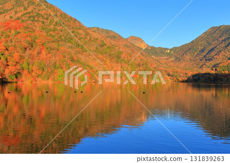 Autumn leaves at Lake Yunoko, Oku-Nikko, Tochigi Prefecture Autumn leaves at Lake Yunoko, Oku-Nikko, Tochigi Prefecture 131839263