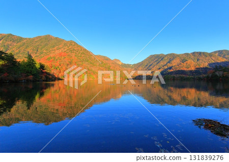 Autumn leaves at Lake Yunoko, Oku-Nikko, Tochigi Prefecture Autumn leaves at Lake Yunoko, Oku-Nikko, Tochigi Prefecture 131839276