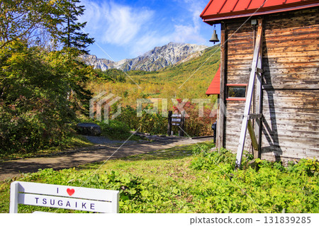 Tsugaike Nature Park in full bloom of autumn leaves Tsugaike Nature Park in full bloom of autumn leaves 131839285