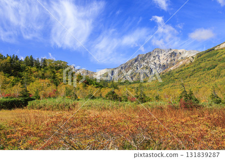 秋葉盛開的Tsugaike自然公園 131839287