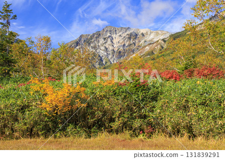 Tsugaike Nature Park in full bloom of autumn leaves Tsugaike Nature Park in full bloom of autumn leaves 131839291