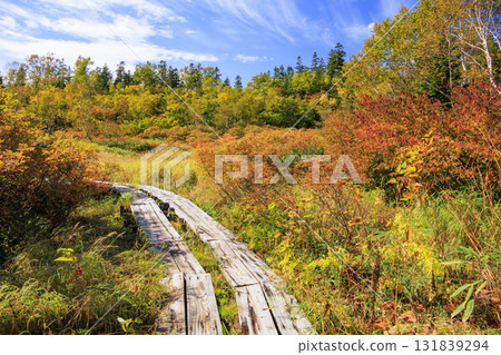 秋葉盛開的Tsugaike自然公園 131839294
