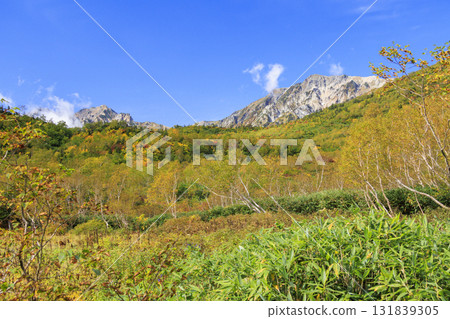 秋葉盛開的Tsugaike自然公園 131839305