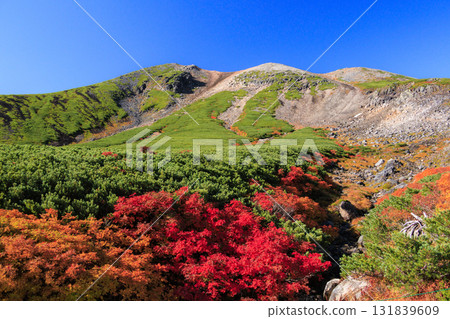 Autumn leaves at Norikura 131839609