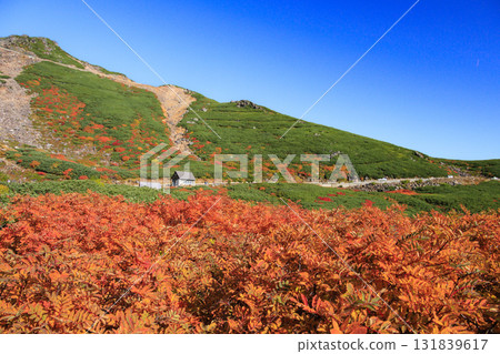 乘鞍的紅葉 乘鞍的紅葉 131839617