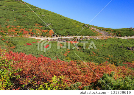乘鞍的紅葉 乘鞍的紅葉 131839619