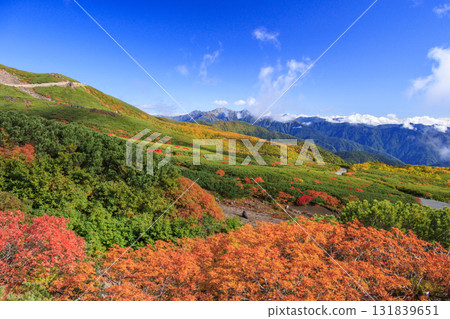 Autumn leaves at Norikura 131839651