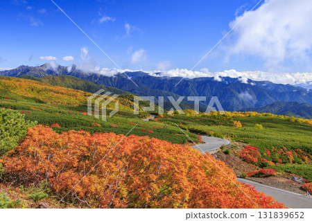 Autumn leaves at Norikura 131839652