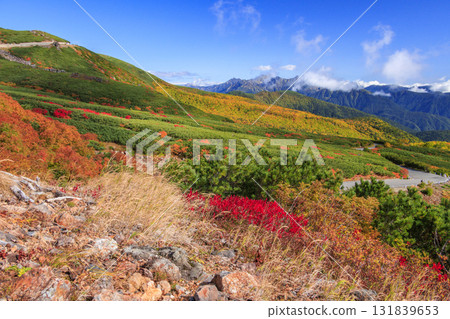 乘鞍的紅葉 131839653