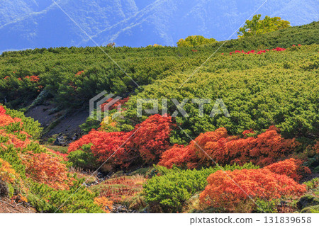 乘鞍的紅葉 乘鞍的紅葉 131839658