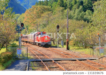 神戶站渡良瀨溪谷Torocco列車 131839676