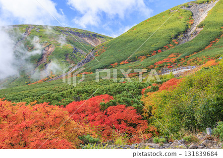 乘鞍的紅葉 乘鞍的紅葉 131839684