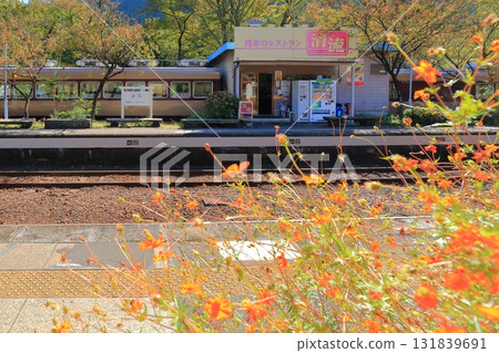 Kobe Station Watarase Valley Torocco Train Kobe Station Watarase Valley Torocco Train 131839691