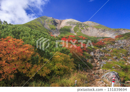 Autumn leaves at Norikura 131839694