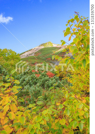 乘鞍的紅葉 131839700